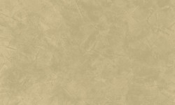 Decorazza STUCCO VENEZIANO / Цвет #SV  10-51